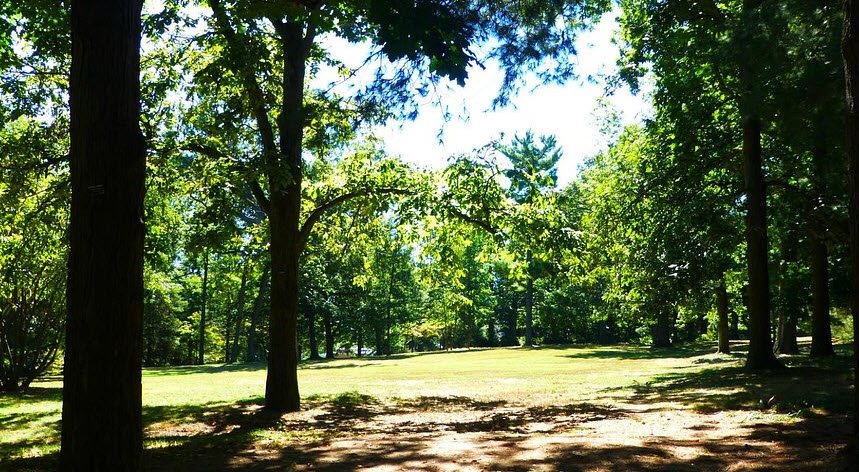 Edgerton Park Conservancy, United States